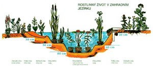 izolace-projekty-jezirko